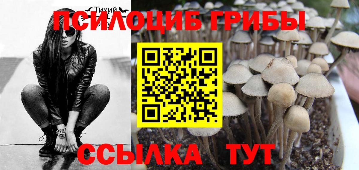 цены наркотик  Вход с VPN  Кимовск  Галлюциногенные грибы Cubensis 