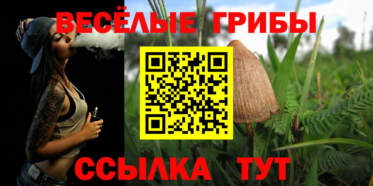 Галлюциногенные грибы мухоморы Кимовск